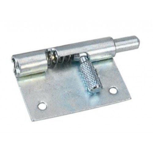 Removable Hinge